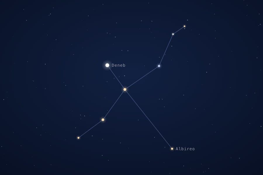 Cygnus